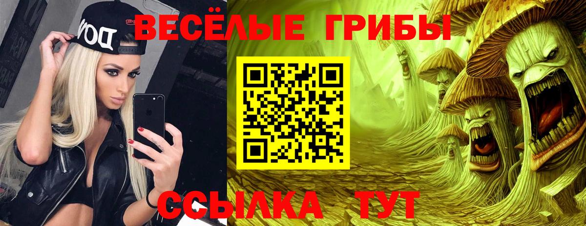 Юрга  наркошоп  Вход с VPN  Галлюциногенные грибы MAGIC MUSHROOMS  Галлюциногенные грибы мухоморы 