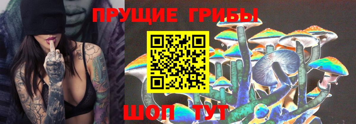 Псилоцибиновые грибы ЛСД Юрга